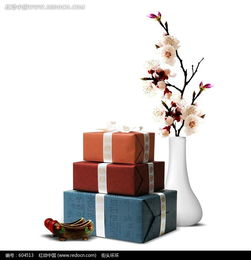 梅花禮品psd素材免費(fèi)下載 編號604513 紅動網(wǎng)
